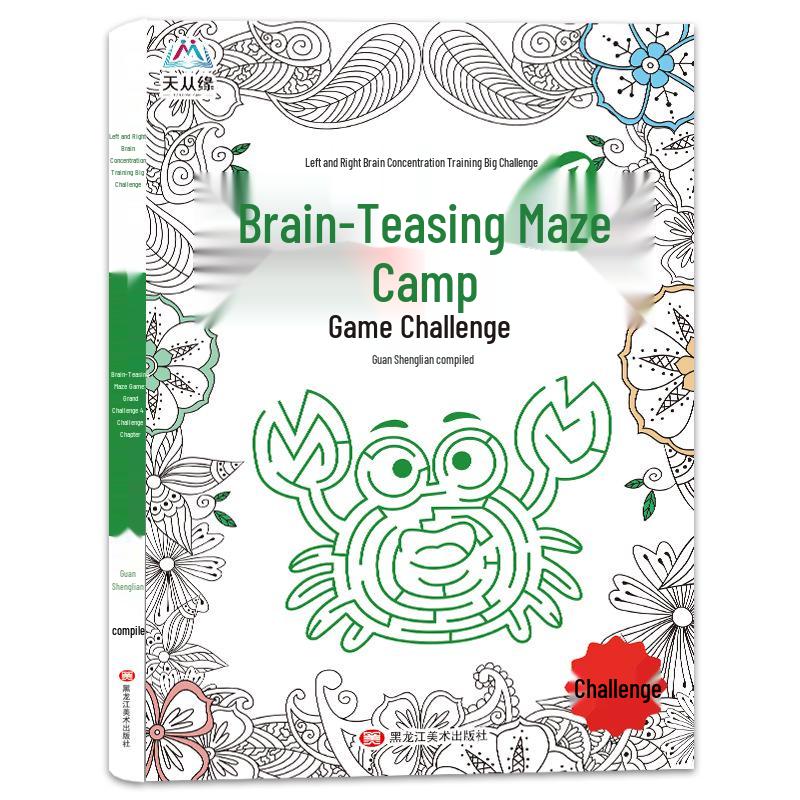 Children s Educational Maze Game: Brain Training & Focus Challenge (4-Book Set)