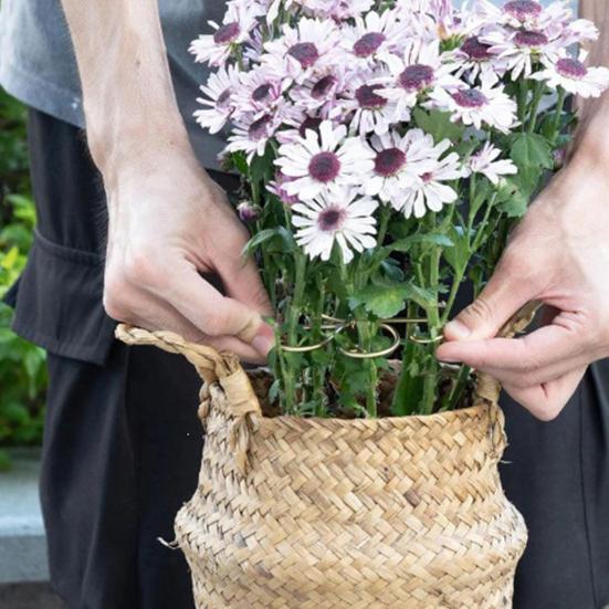 Metal Plantestamme Support Dekorativ Monstera Plante Stamme Support Genanvendelig Plante Stabilisator til Monstera Indendørs Potteplanter Udendørs Planter