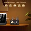 AIYIMA T9 Bluetooth 5.0 100W*2 Tube Amplifier 2.0 Channel Vacuum Tube USB DAC Stereo HiFi Home Audio Digital Amplifier with RCA/COA/Opt/PC-USB and VU
