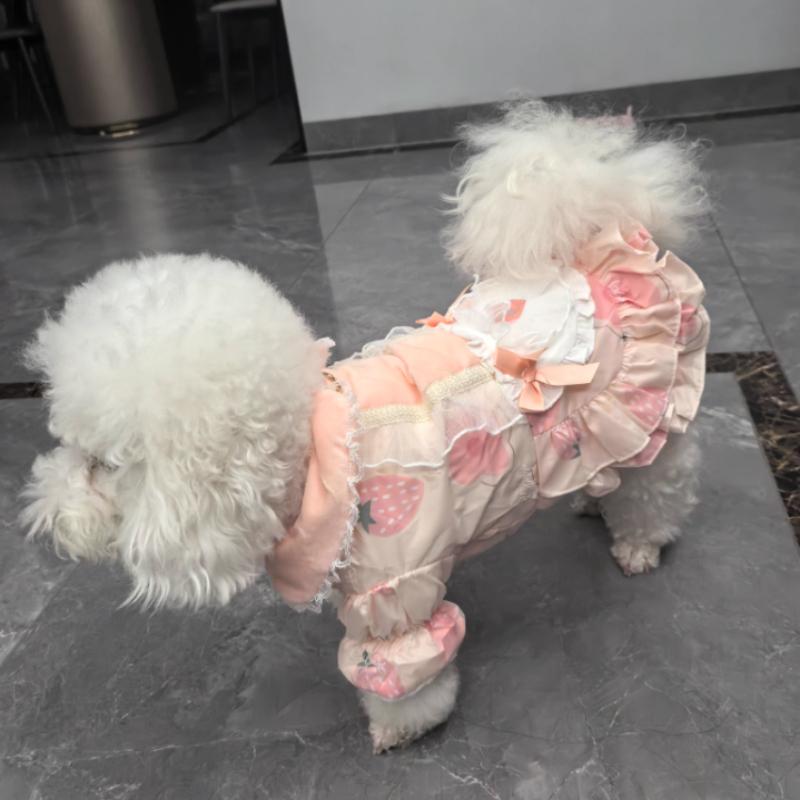 Dog Clothes Autumn and Winter Cat Princess Dress Fleece Thick Sweet Lolita Small Dog Pet Supplies