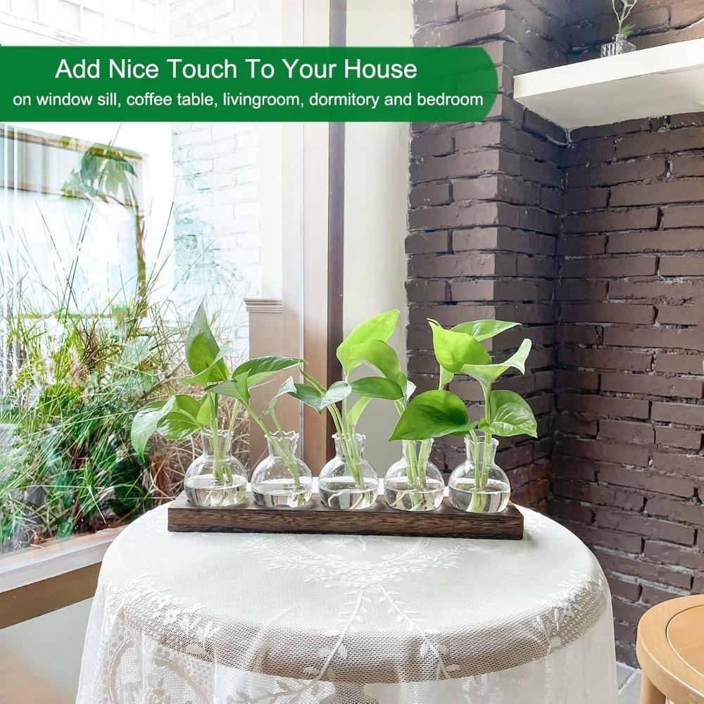 Kreatywny Roślinny Przezroczysty Szklany Wazon Hydroponiczny z Drewnianą Tacą na Kwiaty Sadzonki Roślin Ukorzenianie Doniczka Dekoracja Biurka