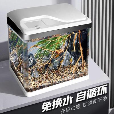 SICCE Glass Fish Tank: Ideal for Home or Office, Suitable for Goldfish and Small To Medium Fish, Includes Filter.