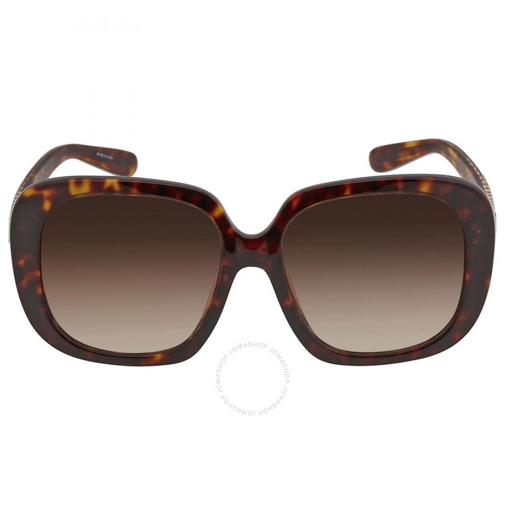

Coach Brown Gradient Square Ladies Sunglasses HC8323U 51203B 56