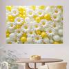 Lebendiger Gänseblümchen- und Ballon-Hintergrund, Florale Szene, Fotografie-Hintergrundtuch