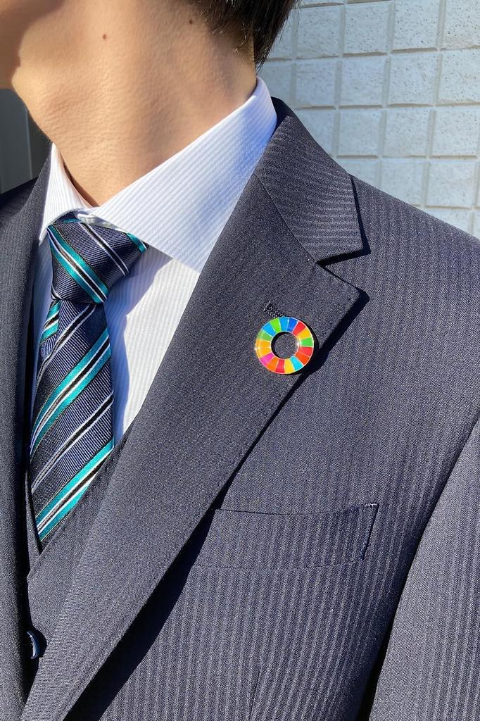 SDGs Badge SDGs Badge Pin Badge New UN Specification Silver Rounded Surface Finish of AIGOU-Life (Set 5)