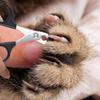 Pet Claw Trimmer Tool Professional Cat Nail Scissors Dog Nail Clippers Cat Nail Scissors Pet Grooming Supplies for Small Dogs