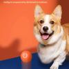 Pet Toy Ball Electronic Interactive Smart Moving Gravity Jumping Interactive Pet Products Rechargeable Electronic Toy Ball Dog