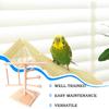 Bird Play Stand Safe Wooden Parrot Stand Cockatiel Toys Multifunctional Natural Bird Perch Cage Accessories For Cockatoos