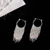 1 Pair Tassel Earrings, Long Temperament Earrings, Versatile And Fashionable Ear Accessories