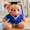 Graduation Gift University Doctorate Master's Bear Doll Teddy Bear Plush Toy Printed Gift Gift for Classmates
