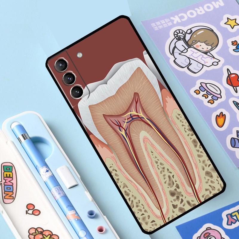 Human Tooth Anatomy Case For Samsung Galaxy S23 S21 S22 Ultra Plus Note 10 20 S8 S9 S10 Plus S20 FE Cover Case