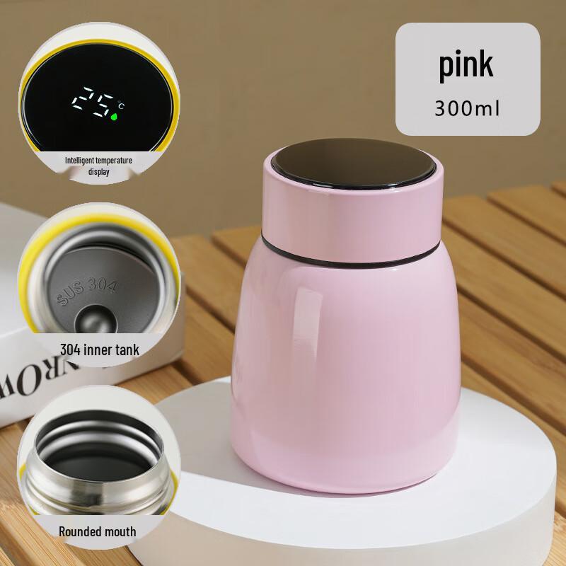 Mini Stainless Steel Temperature Display Thermos Stew Cup