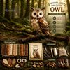 Creative Sewing Gift Woodland Animal Patchwork Kit, Forest DIY Set, Doll Kit Handmade Friends, Beginner-friendly Craft for Adults Teens Project