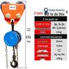 Manual Chain Hoist with I-Beam Trolley CN Plug (adapter Included)