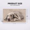 Weimaraner puppy Soft Face Towel Quick Dry Pool Bath Cotton Towels Absorbent