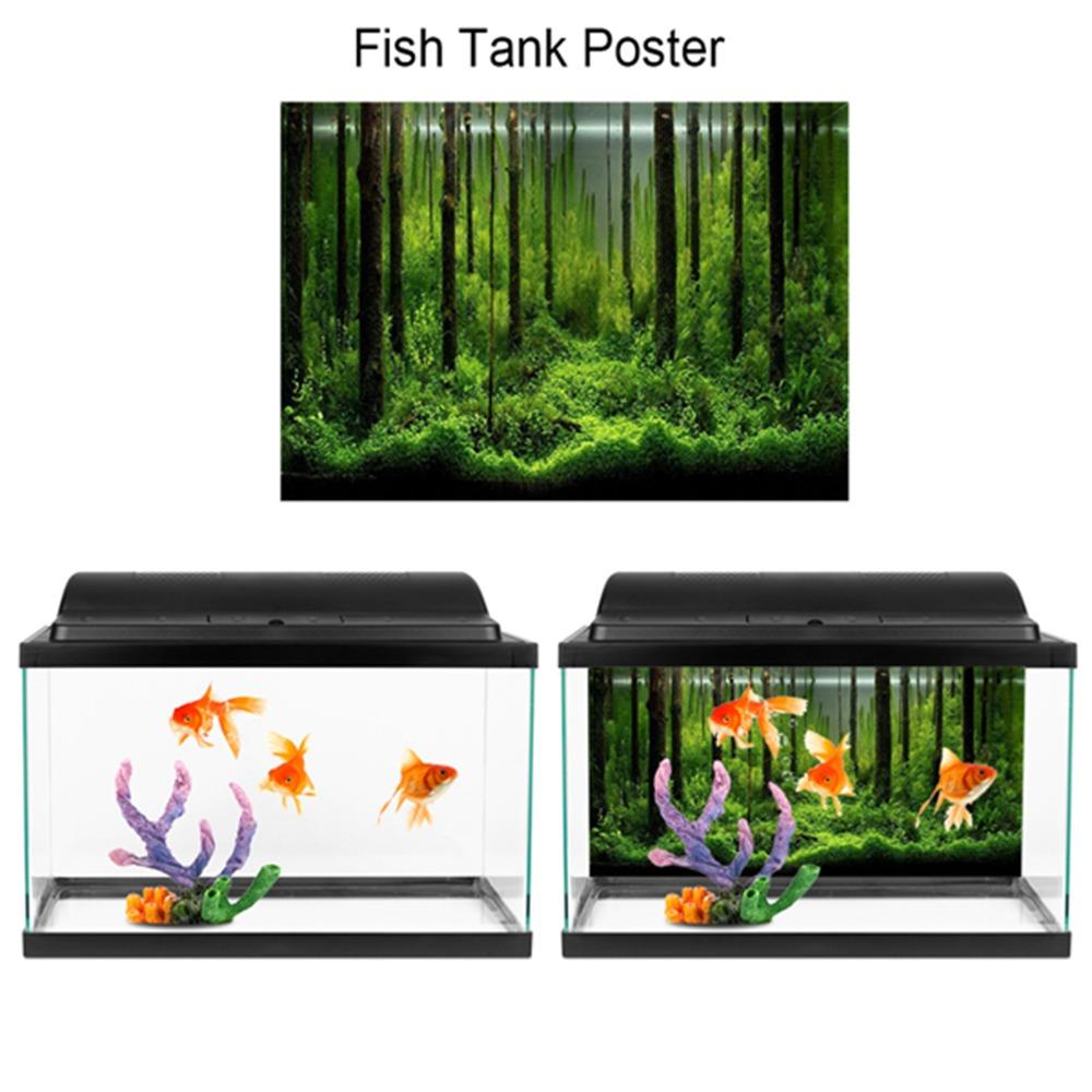 Forest Fish Tank Poster 61*30cm Underwater Forest Poster Beautiful Tank Backdrop  Aquarium