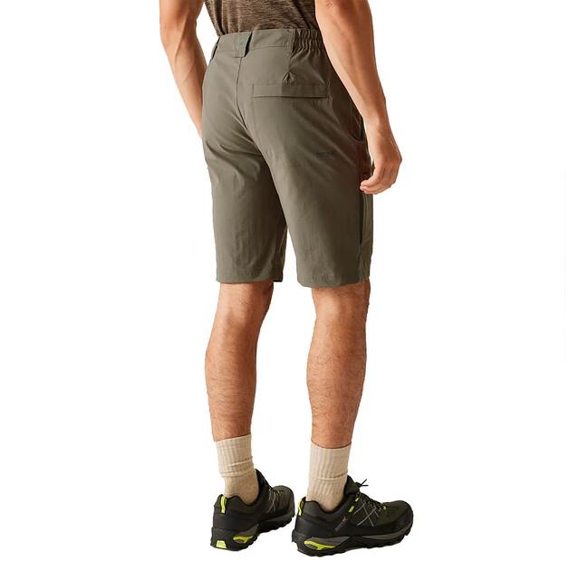 Regatta Highton II Shorts