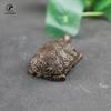 Retro Copper Chinese divination Turtle Statue Desk Ornament Vintage Tortoise Miniatures Figurines Home Decoration Accessories