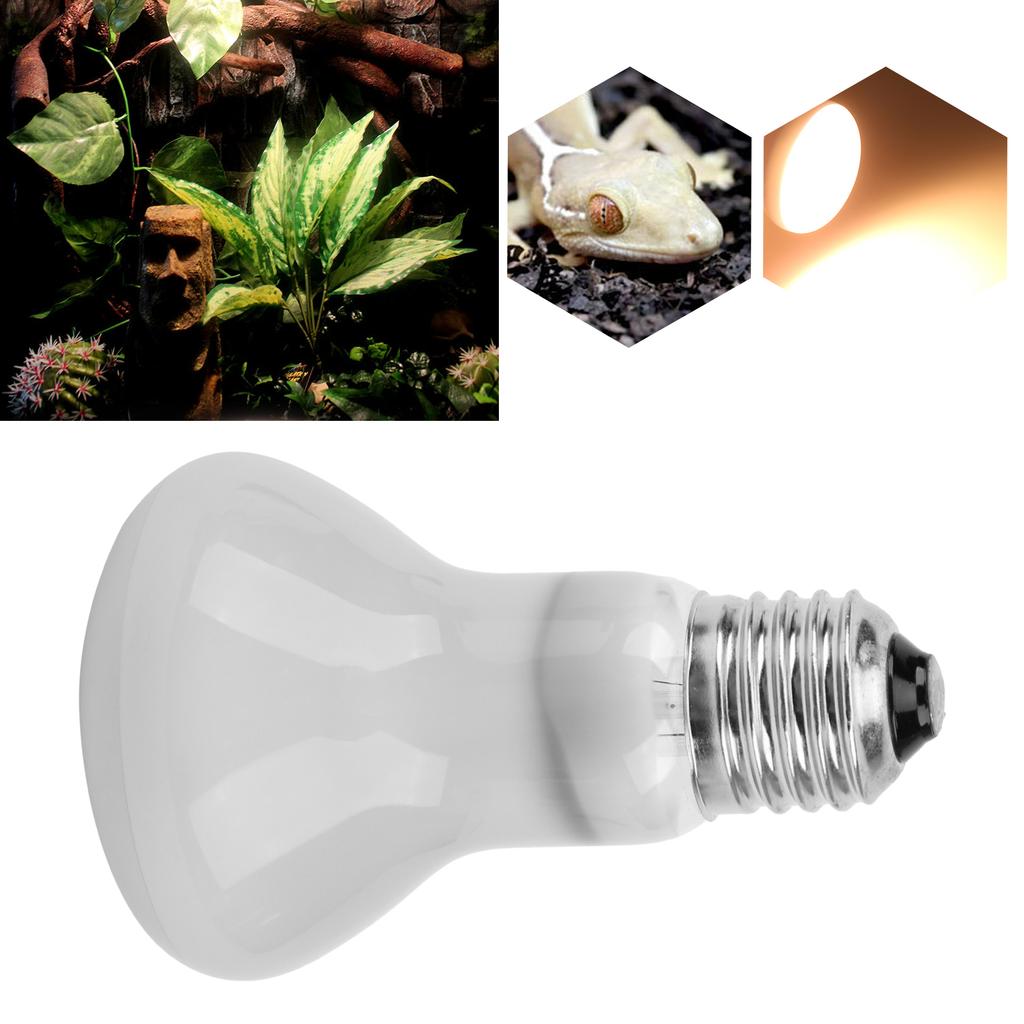 E27 Reptile Heat Lamp UVA Heat DayLight Bulbs for Tortoise Reptiles Crawling Pet70W 220V