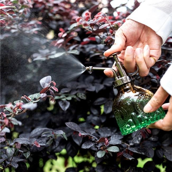 Retro Embossed Glass Spray Bottle – Small Pressure Watering Can for Garden & Home Flowers
