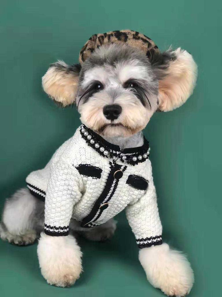 Ubranka dla psów odzież wiosenna mały pachnący sweter sweter Chenille pomorski Teddy Corgi mops kot ubranka dla zwierząt ubranka dla szczeniąt