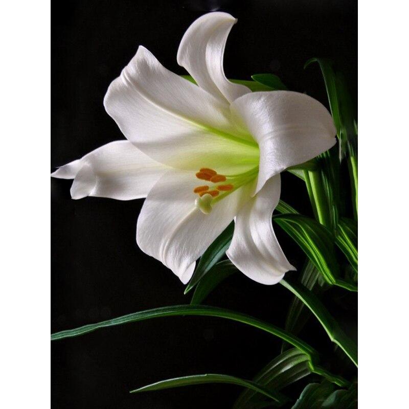 5D DIY sada na malování diamantů Krásné květiny Diamantové vyšívání kamínky Dekorace pro domácnost