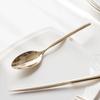 Velo Platinum Titanium Champagne Steak Spoon