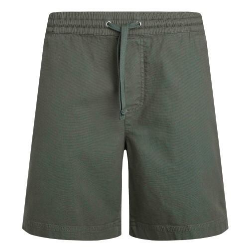 Weird Fish Mens Weston Canvas Shorts