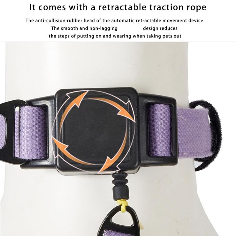 Automatic Extendable Pet Collar For Owners Dog Collar Telescopic Pet Walking Rope
