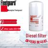 Fleetguard Motorenfilters voor Cummins