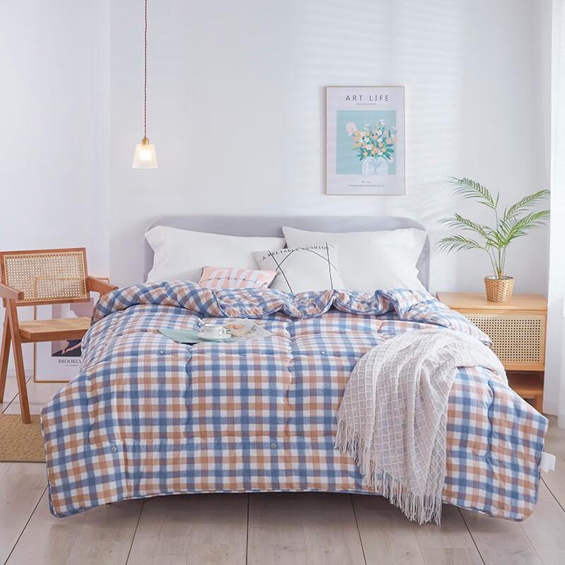 

Pielte Pauloge All-Season Polyester Quilt