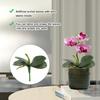 2 Pcs Orchid Leaves Artificial Real Touch Faux Phalaenopsis Stems Leaf 8 Inches Green Leaf Plants Fake Cymbidium Flower Foliage Green Real Touch