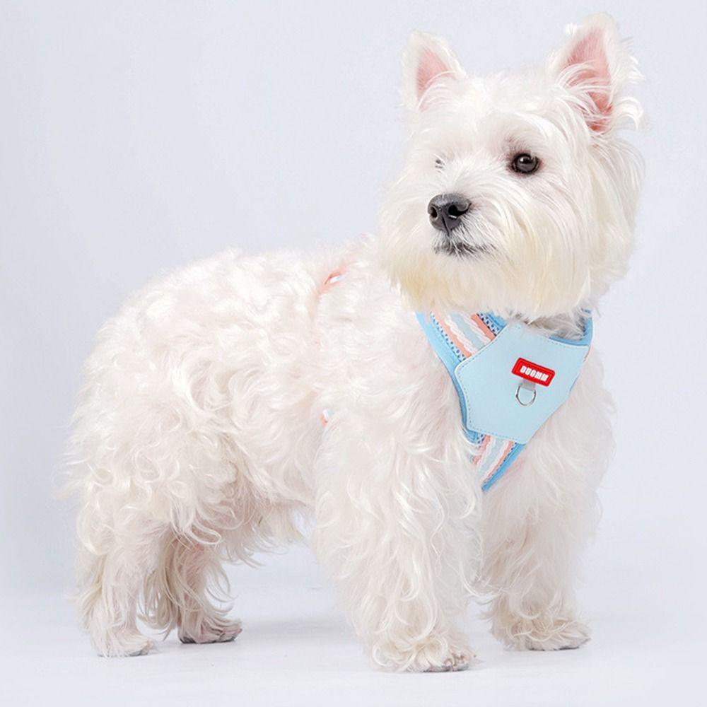 with Traction Rope Pet Walking Vest Adjustable Dog Collars Leash Set  Dog Accessories