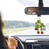 Car Plant Crochet Hanging Basket, Plant Strawberry Hanging Plant for Car Decor, Car Ornaments Charms for Rear View Mirror