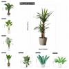 PVC Green Plant Potted Wall Sticker Self-adhesive Removable Wall Decals Waterproof Eco-friendly Decoration Mural