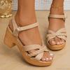 Fashion Ankle Strap High Heels Sandals Women Summer Platform Gladiator Sandalias Mujer Weaving Cross Band Chunky Heeled Sandles