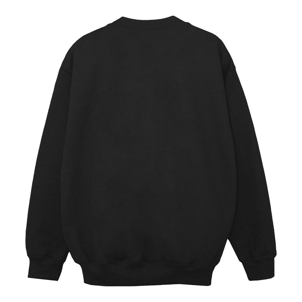 Disney Jungen-Sweatshirt „Frozen Elsa und Anna Sisters“.