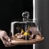 Huabeishi Glass Dome Cake Plate with Wooden Tray