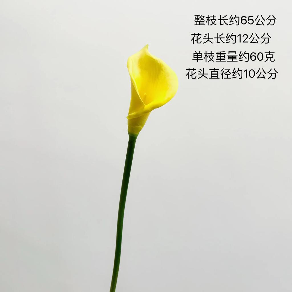 5 Stück Weiße Calla Lilie PU Kunstblumen Heim Wohnzimmer Dekoration Realistische Hoonlilie Kunstblumen Hochzeit Floraler Brautstrauß