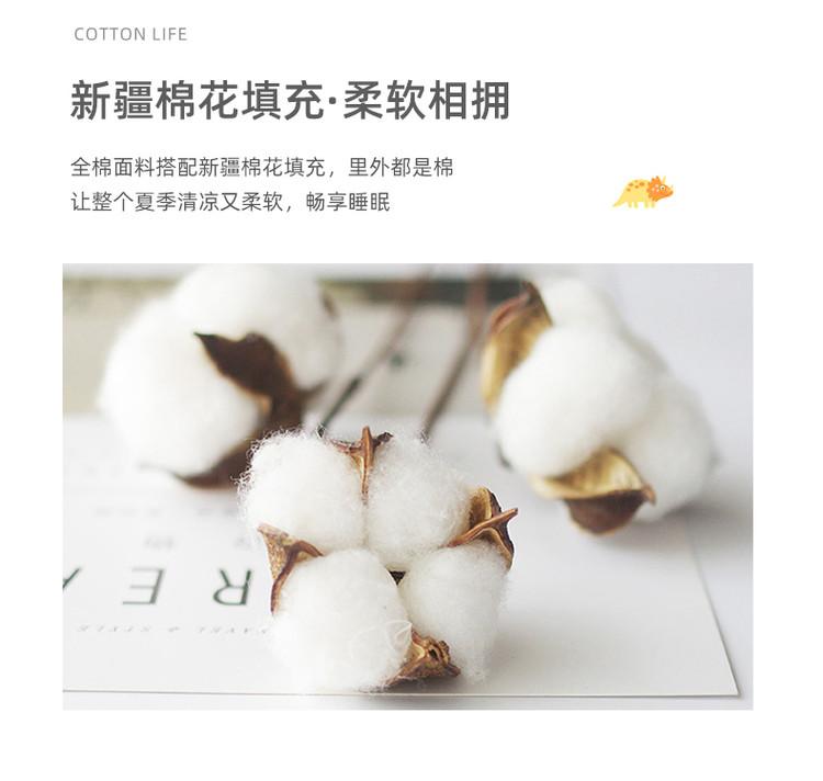 Xinjiang Cotton Pure Cotton Summer Cool Quilt