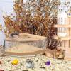 Transparentes Hamster Urin Sandbecken Acryl Hamster Sandkasten Für Goldhamster Meerschweinchen