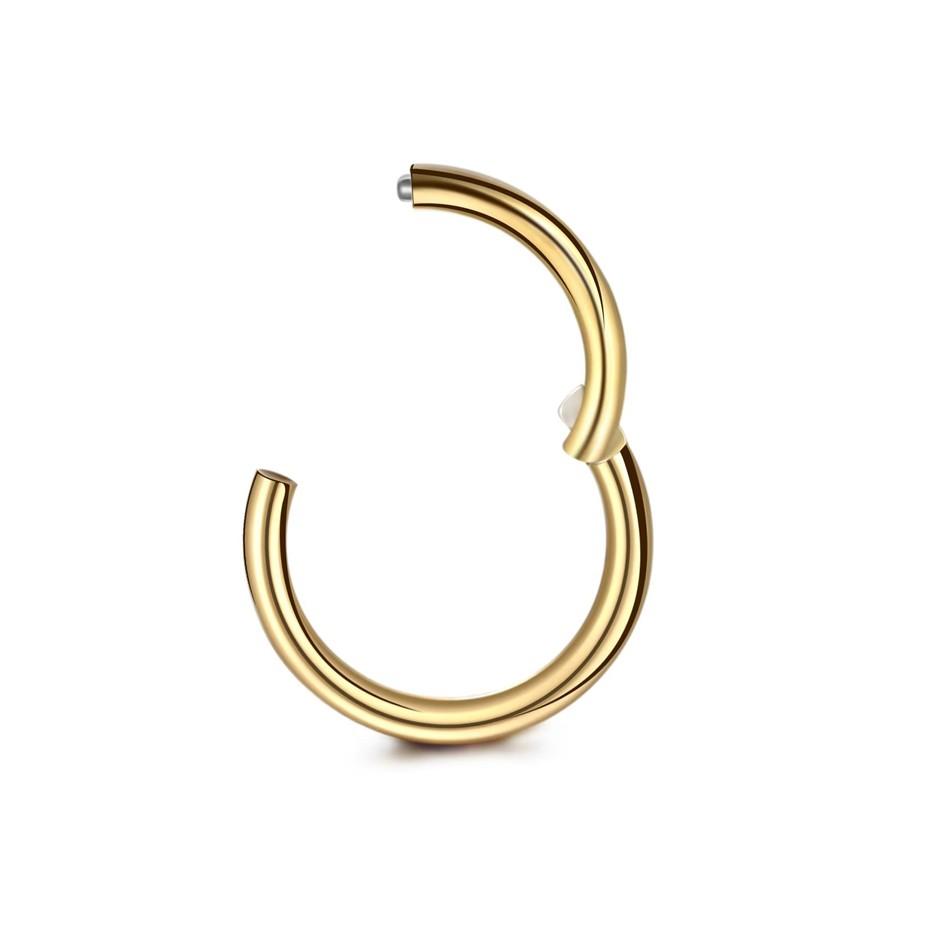 5Pcs/lot Stainless Steel Nose Ring Body Clip Hoop for Women Men Cartilage Piercing Segment Nose Hoop Septum Clicker Lip Ear Ring