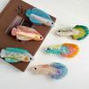 Acetic Acid Fish Hair Claws Marine Shark Clip New Ponytail Clip  Girls Gift