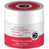 Dermistry Intensive Pflegende Tagescreme LSF 30 Für das Gesicht 50ml