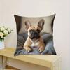 1pc Pillowcase, Cute French Bulldog Realistic Style Pillow Cover
