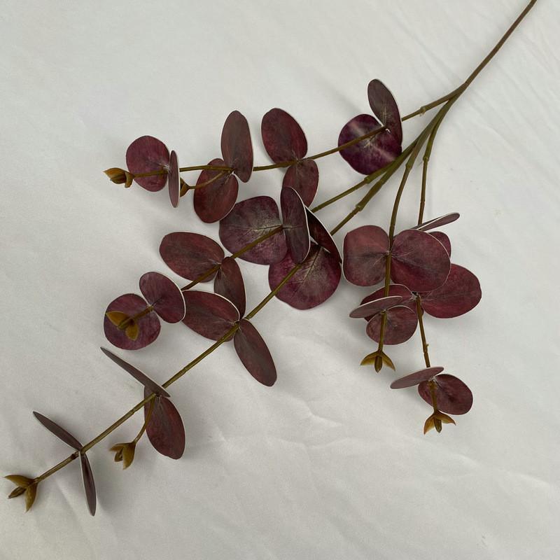 Peníze Eukalyptové Listy Stonky Pro Vnitřní Venkovní Svatba Dárek Dekorace