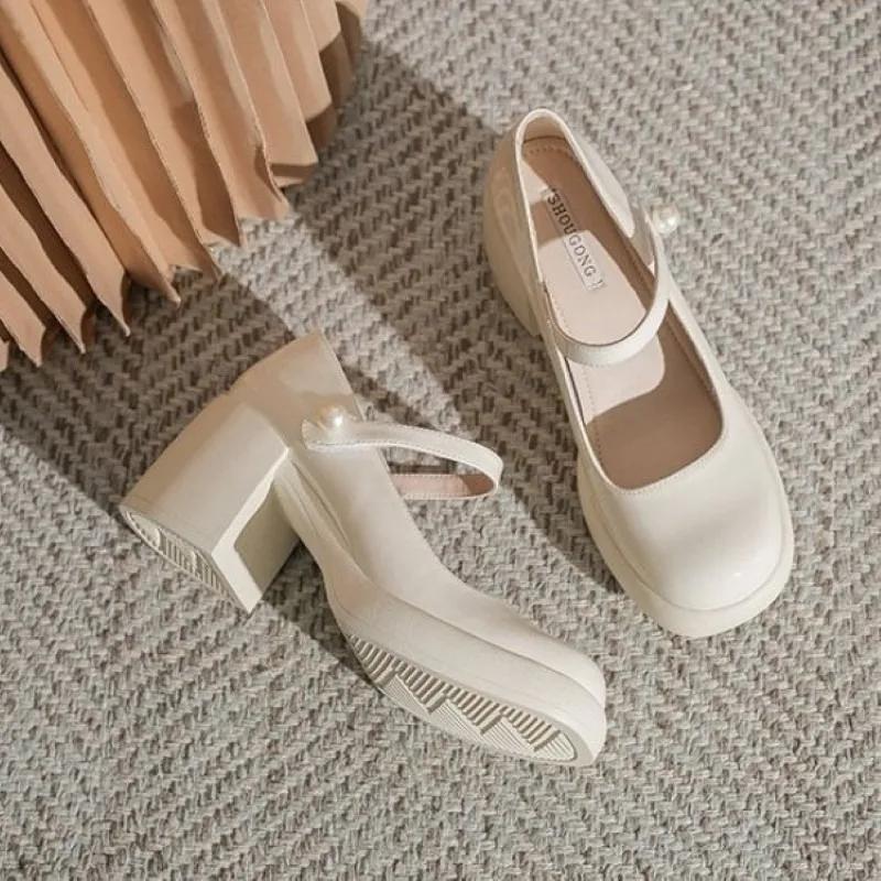 Fashion Ladies Shoes 2025 Mary Janes Women's High Heels Fashion Dress Pumps Women Round Toe Shallow Chunky Heels Shoes Women Zapatos