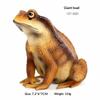Animal Model Toy for Kids Toad Frog Figure Realistic Rubber Educational Play
