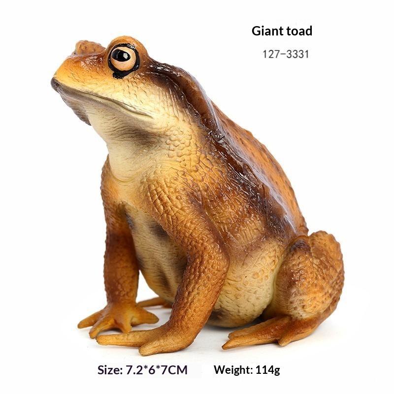 Animal Model Toy for Kids Toad Frog Figure Realistic Rubber Educational Play