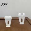 Office Desk Accessory 3D Printed Business Card Holder, Tooth Shaped Matte White Organizer, Home Organizer Minimalist Style Ornament for Dental Clinics